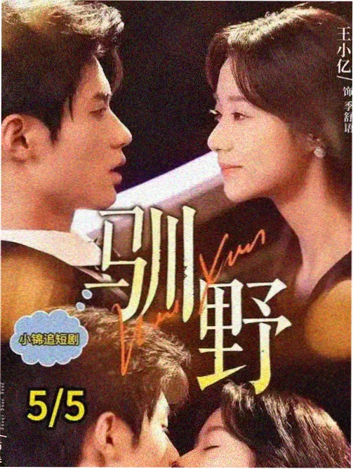 犯罪都市4 最新影视在线观看